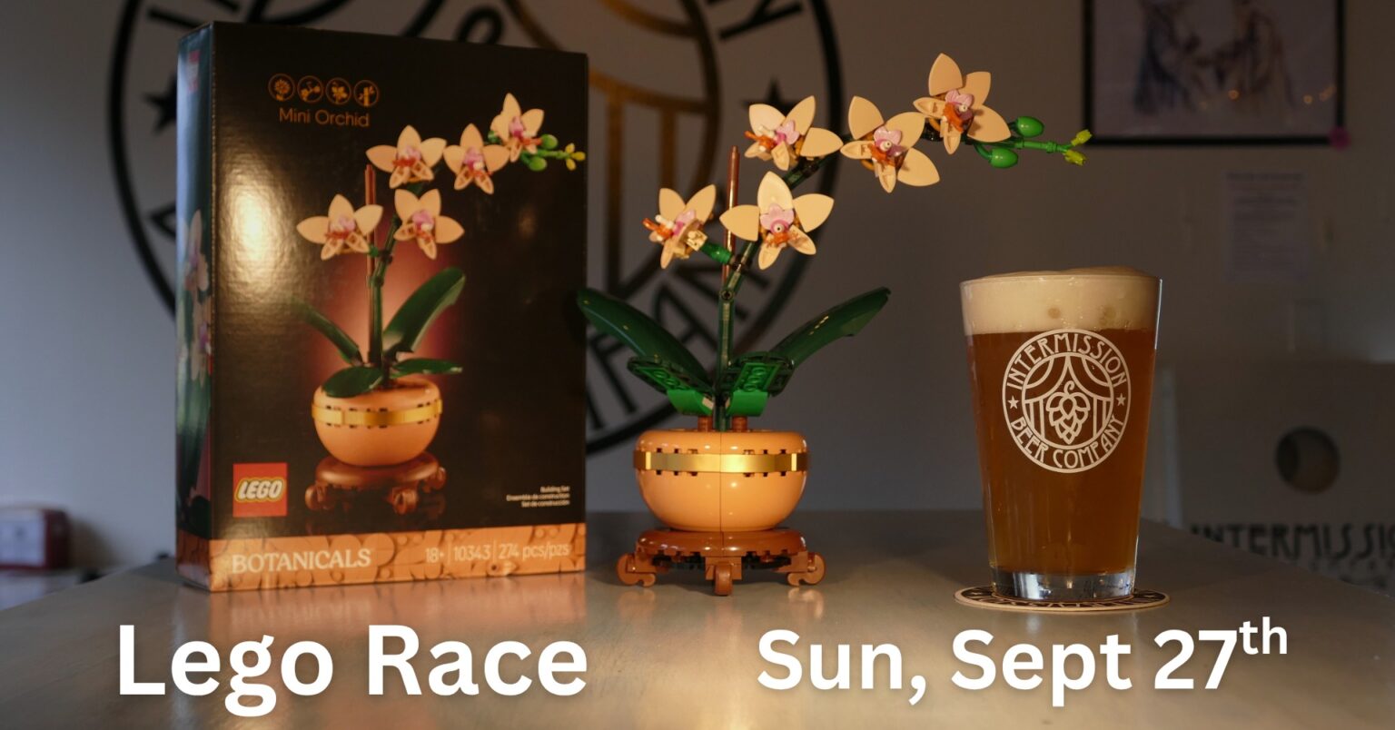 Lego Race – Botanicals Mini Orchid