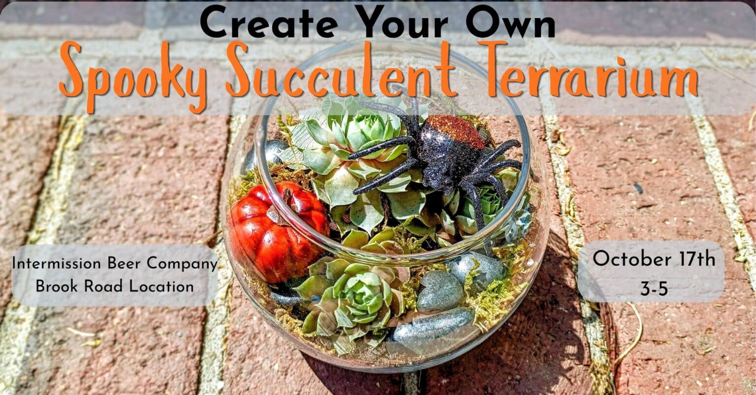 Create Your Own Spooky Succulent Terrarium